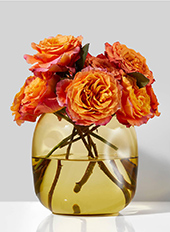 COLORED GLASS VASES