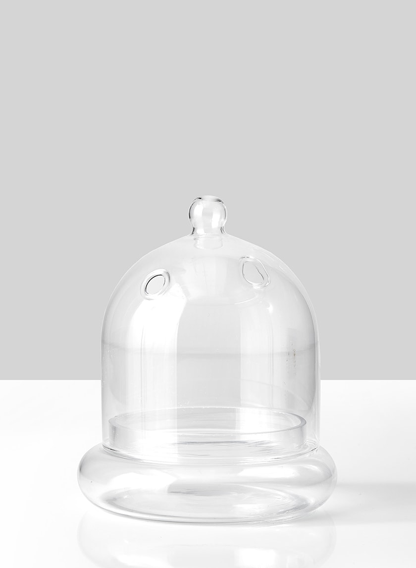 small glass cloche terrarium