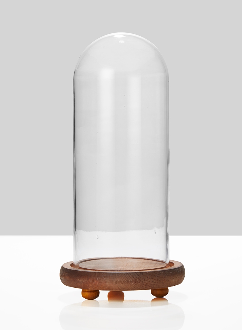 5½ x 13in Glass Cloche On Wood Base