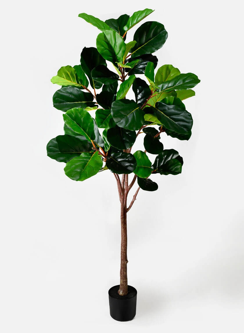 Fake Fiddle Leaf Fig Artificial Plants for Window Retail Set Display