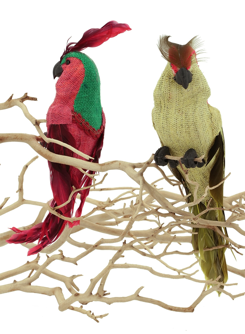 burlap parrot 