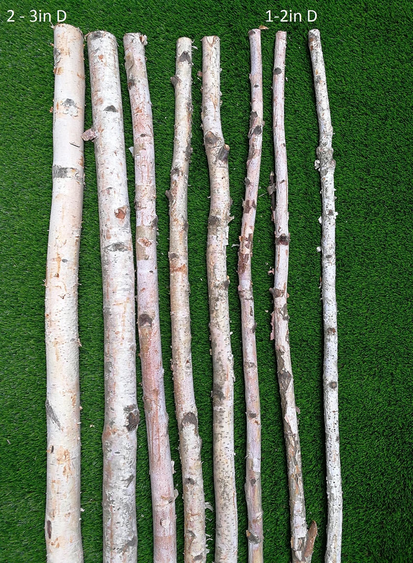 Natural Birch Poles