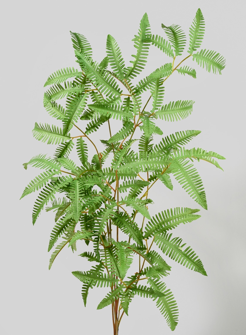 38in Mimosa Leaf Branch