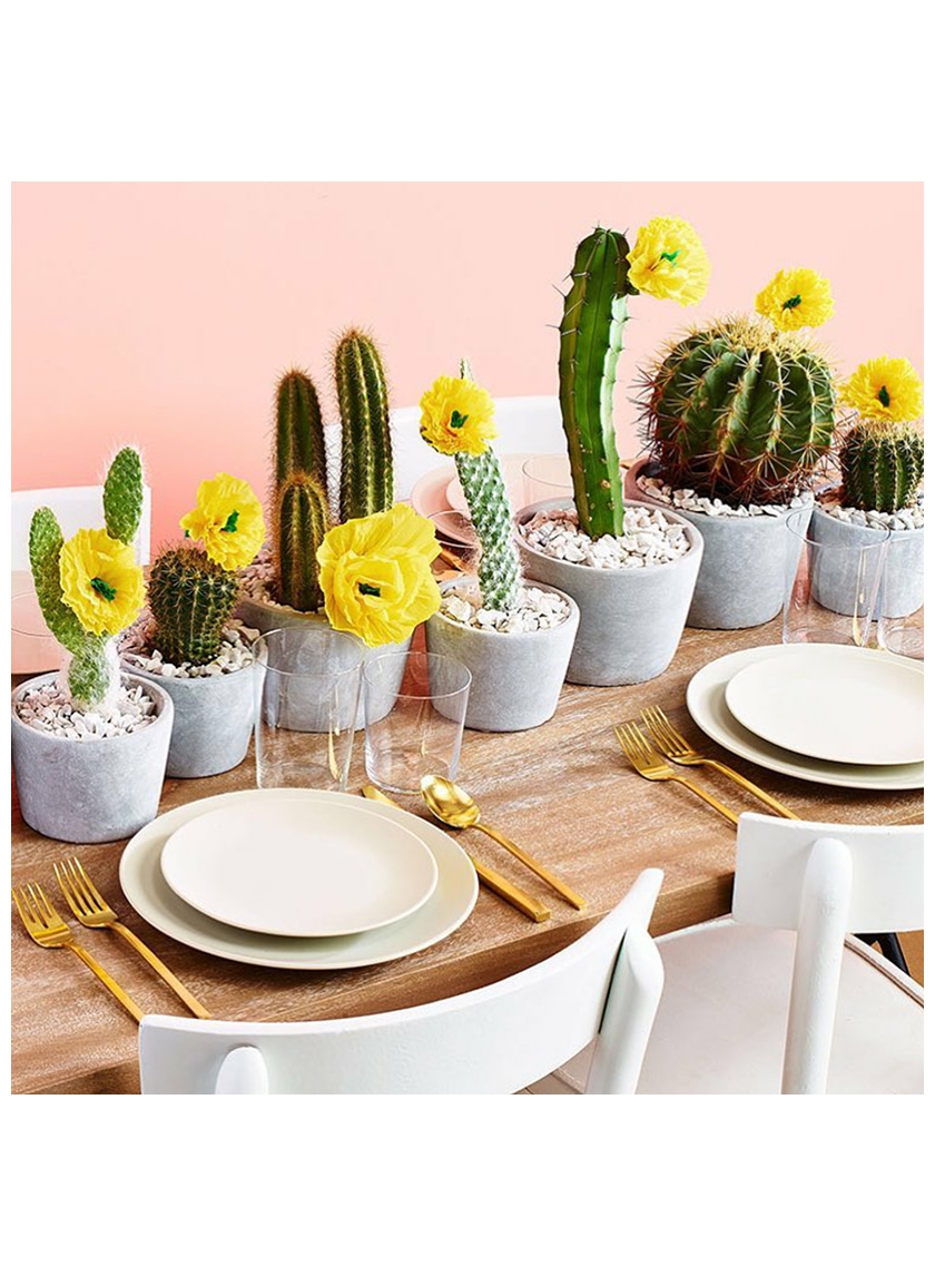 cactus in cement pots summer wedding centerpiece