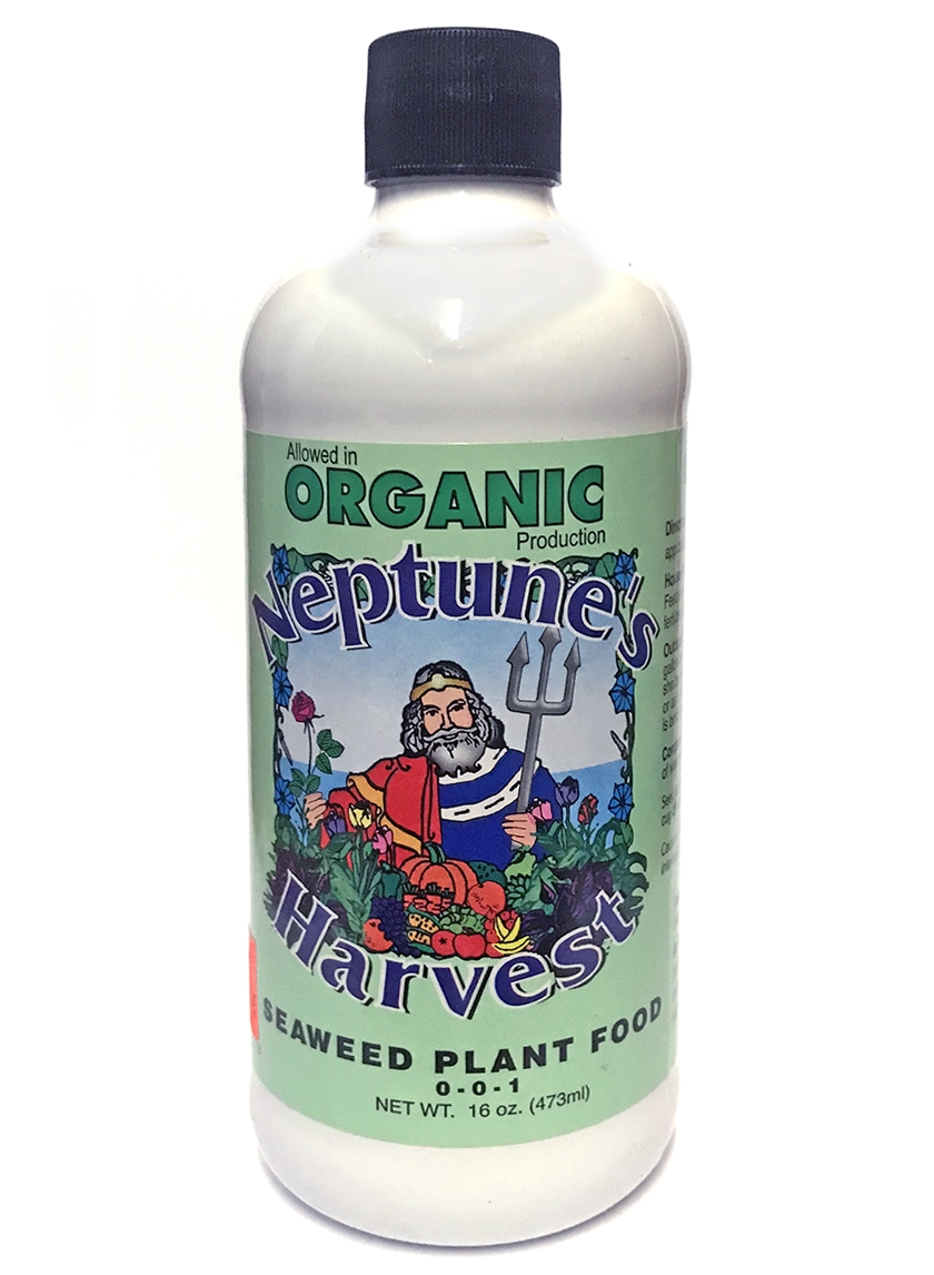 Organic Neptune's Harvest Seaweed Fertilizer