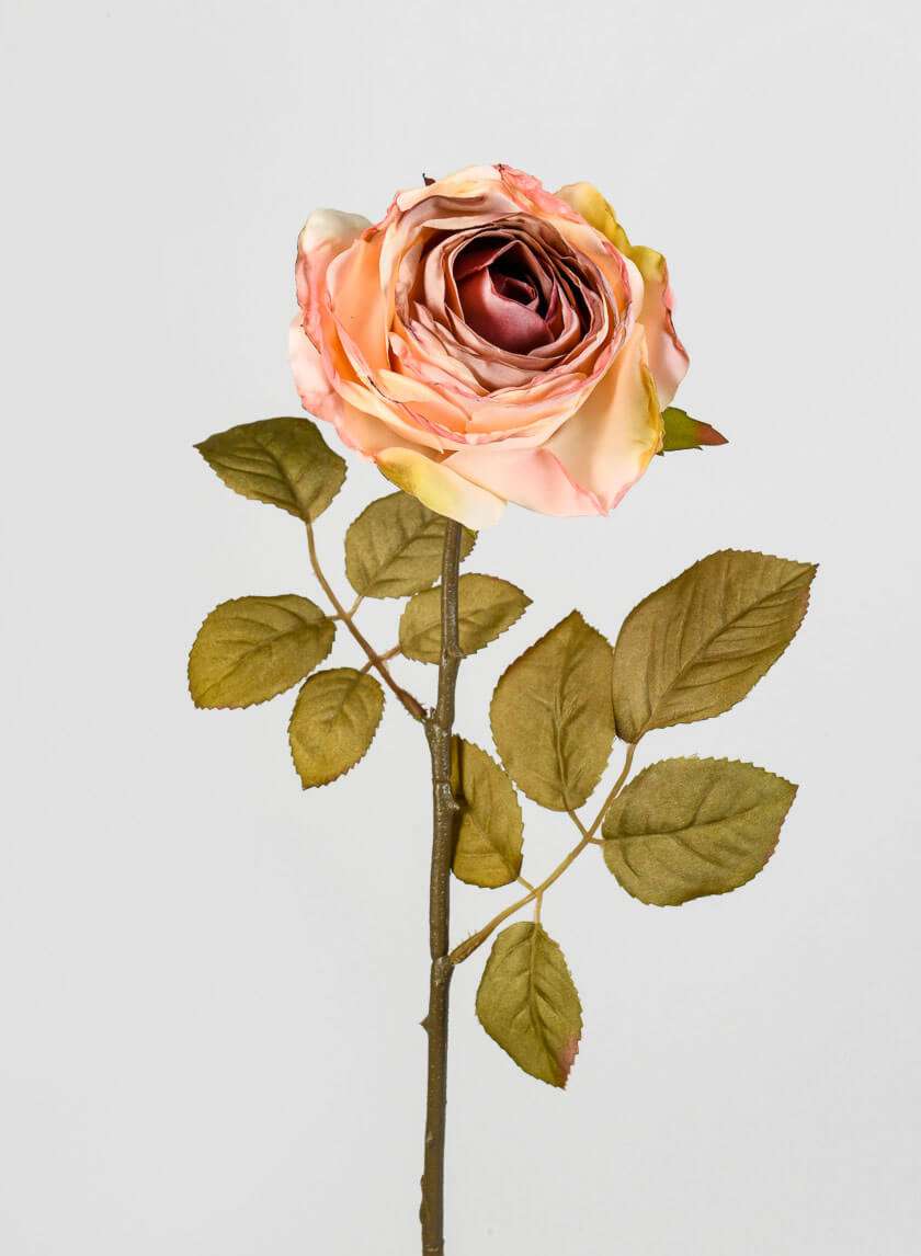 26 ½in Peach Single Tea Rose Spray