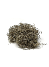 natural spanish moss 