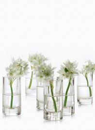 2 x 4in Clear Glass Cylinder, Set of 4