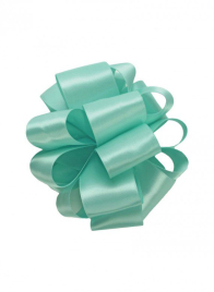 5/8in Aqua DFS Ribbon