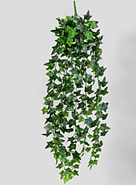 27in Dark Green Ivy Hanging Bush