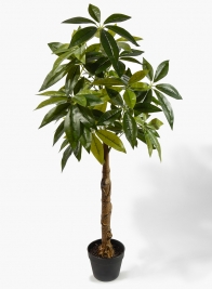 47in Money Tree Plant