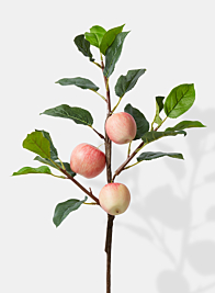 fake honeycrisp apple branch