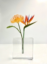 Space Modern Square Crystal Vase