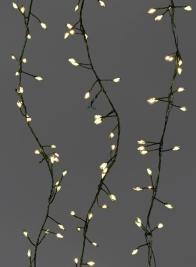 240 Warm White Fairy Lights On Green Cord, 9 1/2 Ft Long Cord