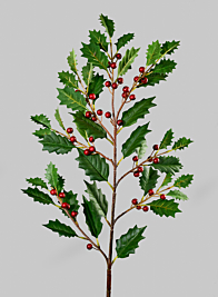 35in Holly Leaves & Red Berries Branch