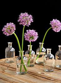 CLEAR MEDICINE BOTTLE BUD VASE, SET OF 6