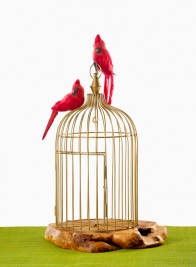 17in Antique Gold Metal Wire Birdcage