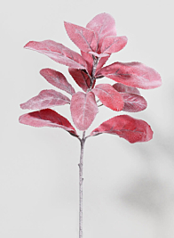 14in Red Lamb's Ear Spray