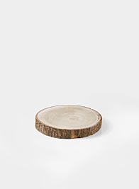 6in Paulownia Wood Trunk Slice