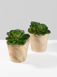 4 1/2in Paulownia Wood Pot, Set of 2