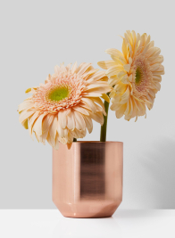 Copper Mini Round Pot