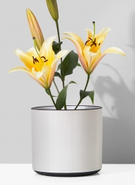 7 ¼in White Linen Ceramic Cylinder Vase