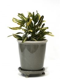 Grey-Linen-Ceramic-Pot-And-Saucer