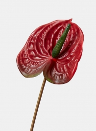red anthurium silk flowers