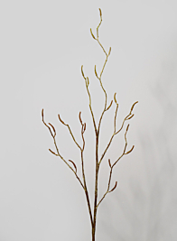 48in Birch Branch with Catkins