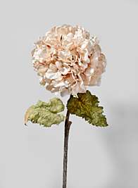 29in Blush Antique Hydrangea Stem