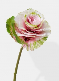 pink green ornamental cabbage floral pick