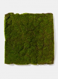decorative flocked moss square mat