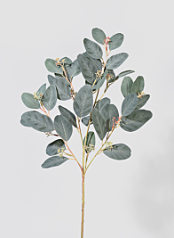 30in Green Seeded Eucalyptus Pick
