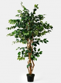 5ft Artificial Ficus Tree
