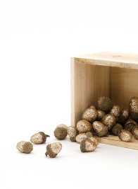 Champagne Glitter Acorns, Set of 30