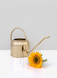 Le Mans Gold Watering Can