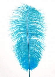 18 - 20in Blue Ostrich Feather
