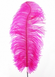 18 - 20in Magenta Ostrich Feather