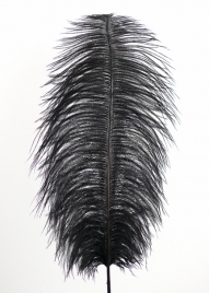 18 - 20in Black Ostrich Feather