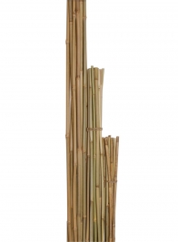 3ft - 6ft Natural Bamboo Stakes