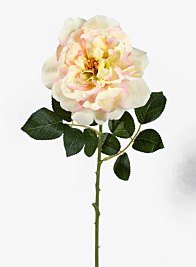 24 ½in Pink & Cream Provence Rose Spray