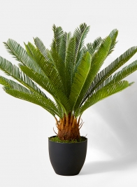 artificial potted sago palm tree window display decor