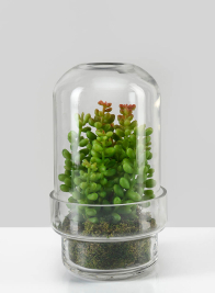 Small Swazi Glass Terrarium