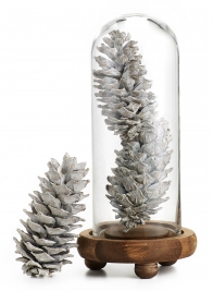 5IN WHITE-WASHED PINECONES, SET OF 12