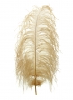 18 - 20in tan ostrich feather HFOH401820