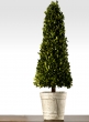 31 ½in Boxwood Cone Topiary