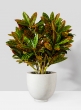 10 1/4in Round Cream Fiberstone Pot