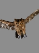 18in Flying Brown Owl