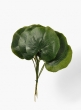 Green Leaf, Set of 12