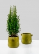 3in Matcha Green Vase, Set of 2